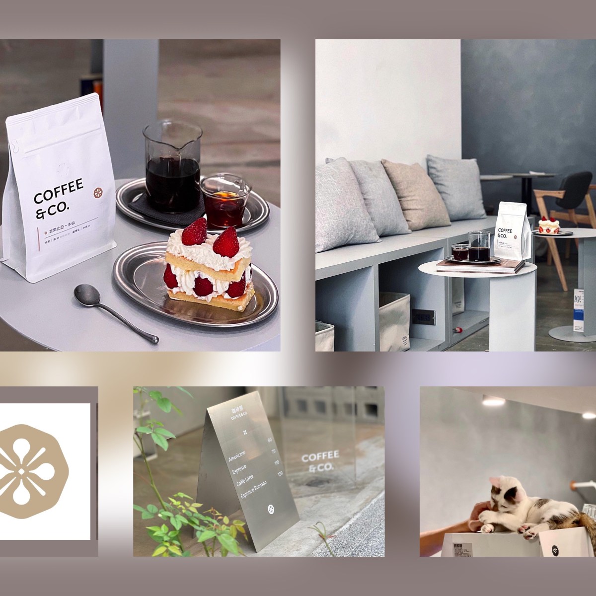 台北咖啡廳【珈琲部 COFFEE & CO.】質感淡色空間 季節限定草莓蛋糕&nbsp;中山區下午茶推薦